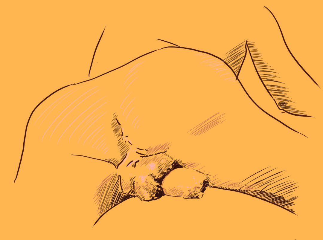 BodiesDrawing's tweet photo. https://t.co/VLSAxegK0Y