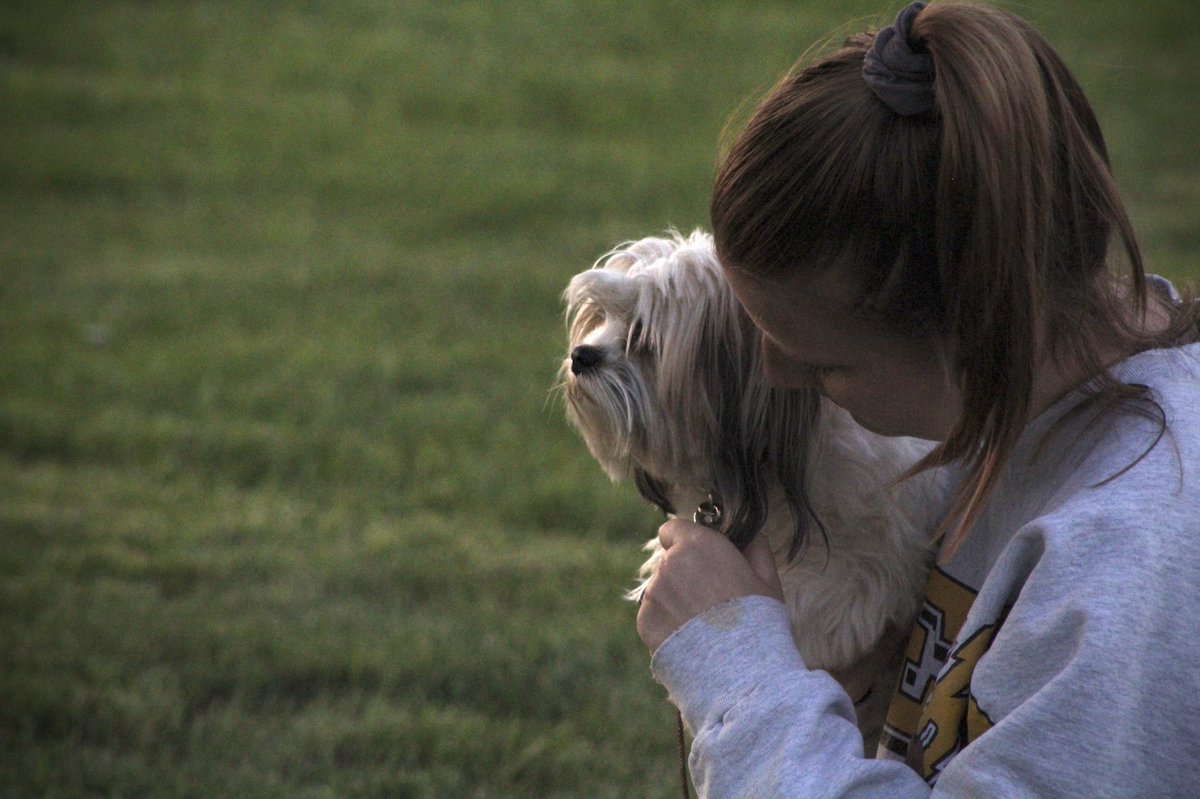 morganab_'s tweet photo. 2 years with the best pup anyone could ask for. 🐶🥺💗 #HappyGotchaDay #PixieStick https://t.co/7N7gmLhhCZ
