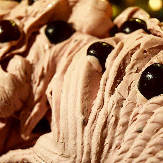 iscreamoxford's tweet photo. There are a couple of fruits that are better as #gelato than #sorbet, Banana being one &amp; Morello Cherry the other. Here is Morello Cherry, rich and creamy, #perfect for summer days or take home for summer evenings at our #familyrunbusiness @iscreamoxford @CoveredMarketOx https://t.co/IGlpAmzWdP