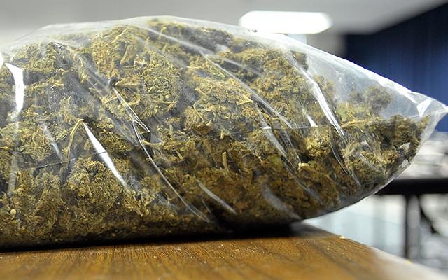 CruzDimo's tweet image. 