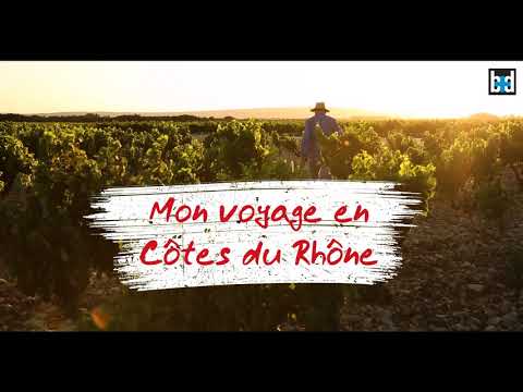 vinetsociete's tweet photo. Thierry Desseauve est parti à la rencontre de Jessica Debiève, responsable de Projets Oenotourisme à Inter Rhône, pour nous parler d'oenotourisme dans les Côtes du Rhône 🍇 https://t.co/B5Hpt2YciL #Oenotourisme #CetEtéJeVisiteLaFrance @MyBettaneD @Vinsrhone https://t.co/VjM6HfSOjQ