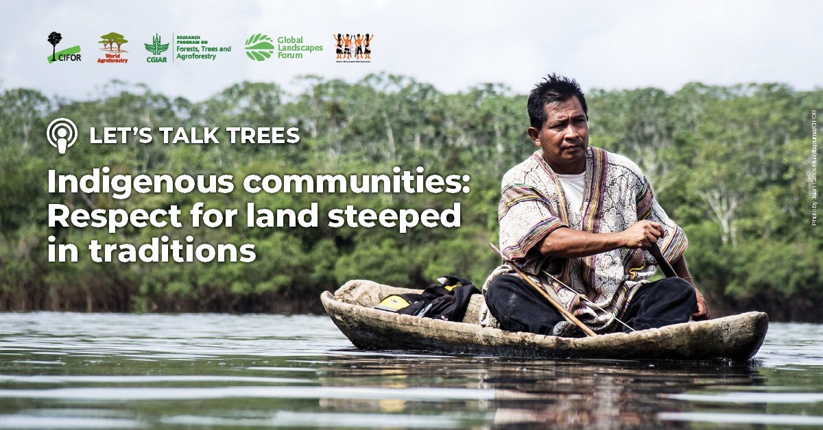 10th @CIFOR @ICRAF #Podcast Episode of #LetsTalkTrees in celebration of #IndigenousPeoplesDay with @tania_eulalia & @rsombolinggi!

Listen now 🎧 ow.ly/WYlu50AViZo