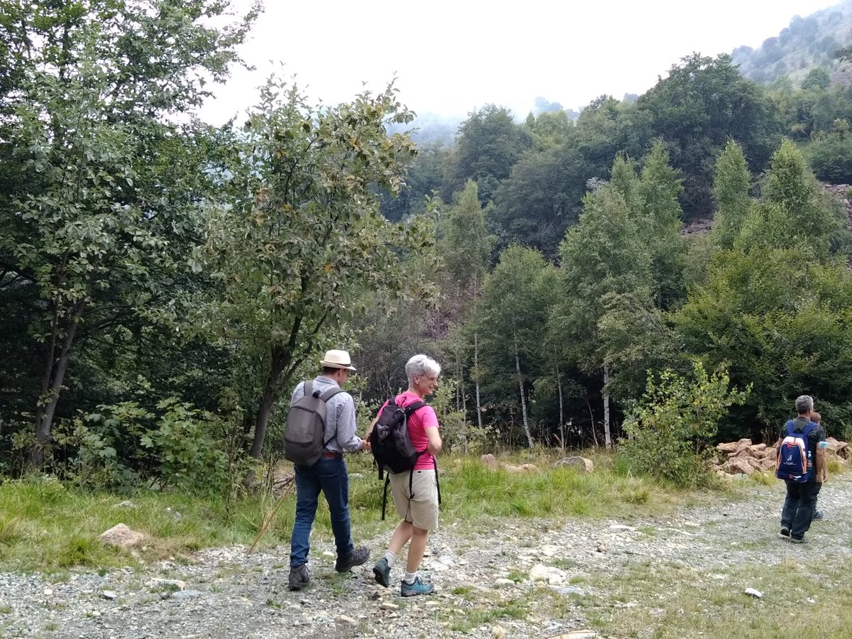 CittaMetroTO's tweet photo. #16agosto2020 oggi la seconda escursione della memoria al #ColledelLys nell'ambito del #pianointegratotematico #PaCE @InterregALCOTRA
La prossima tappa il #13settembre
#natura #storia #resistenza https://t.co/00aOVW54kb