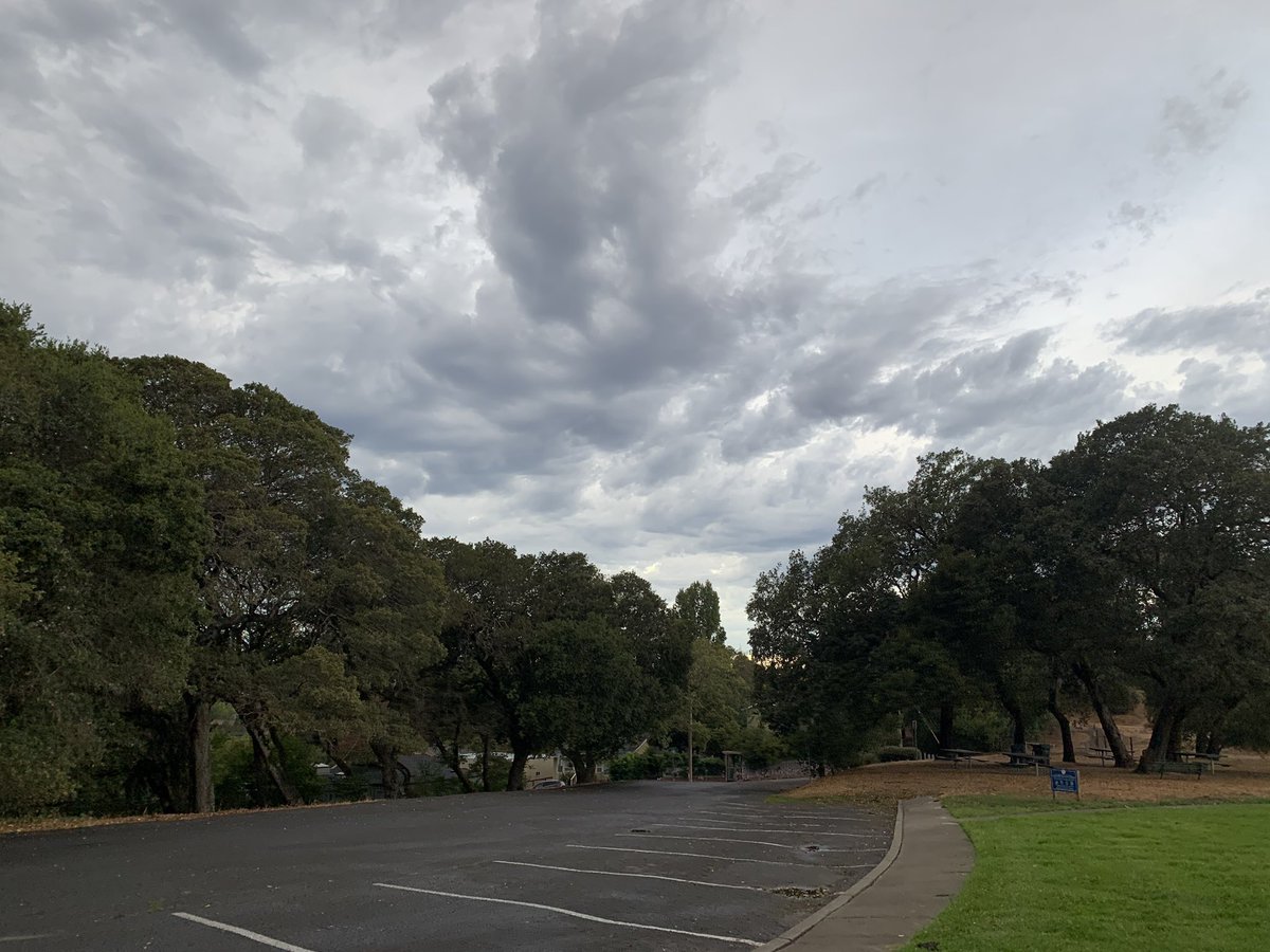 Jason_Sadowski's tweet photo. Crazy lightning and rain last night and humidity this morning that rivals NJ. 

Such a weird day. 

Got a nice photo of the morning clouds on My &amp; Oscar’s walk though. https://t.co/r1GFTUKbSF