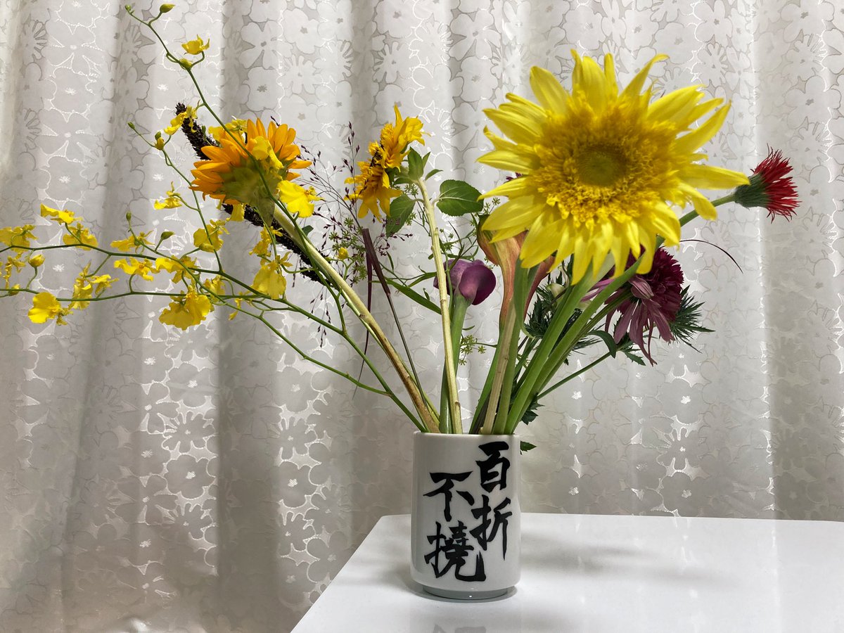 香川愛生 Manao Kagawa 花瓶がないので湯飲みに活けました 香川愛生 Manao Kagawa 花瓶がないので湯飲みに活けました