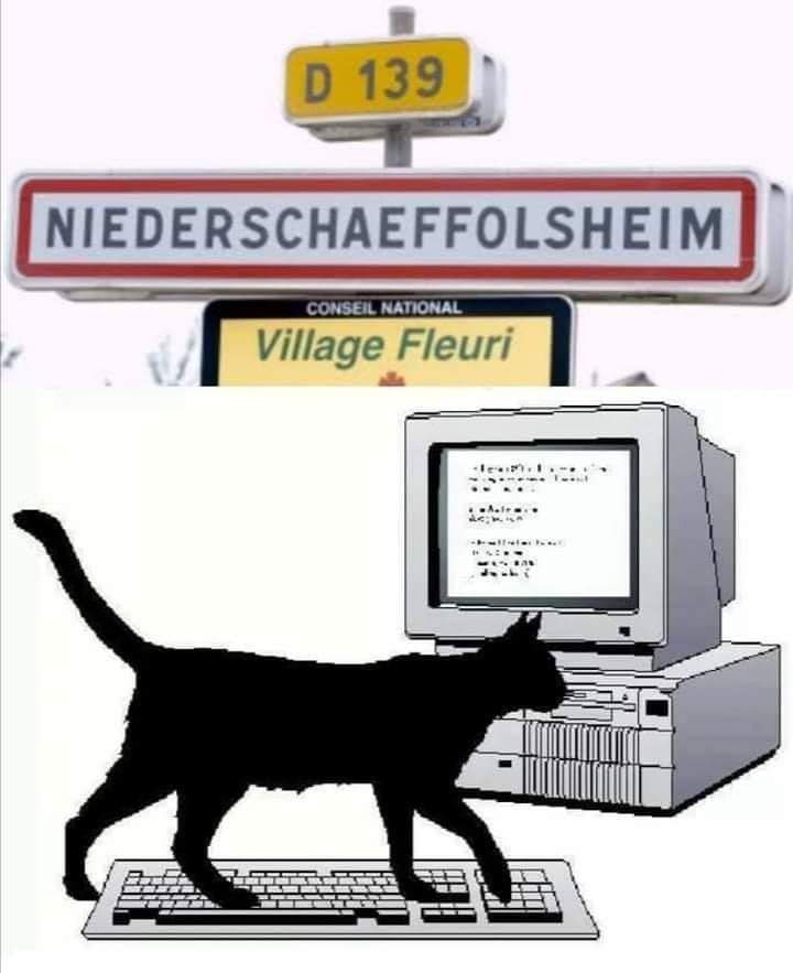 MozartMonChat's tweet image. Que nous les chats on imagine trétré bien les noms de villes alsaciennes ! 😹
Voilà la vérité