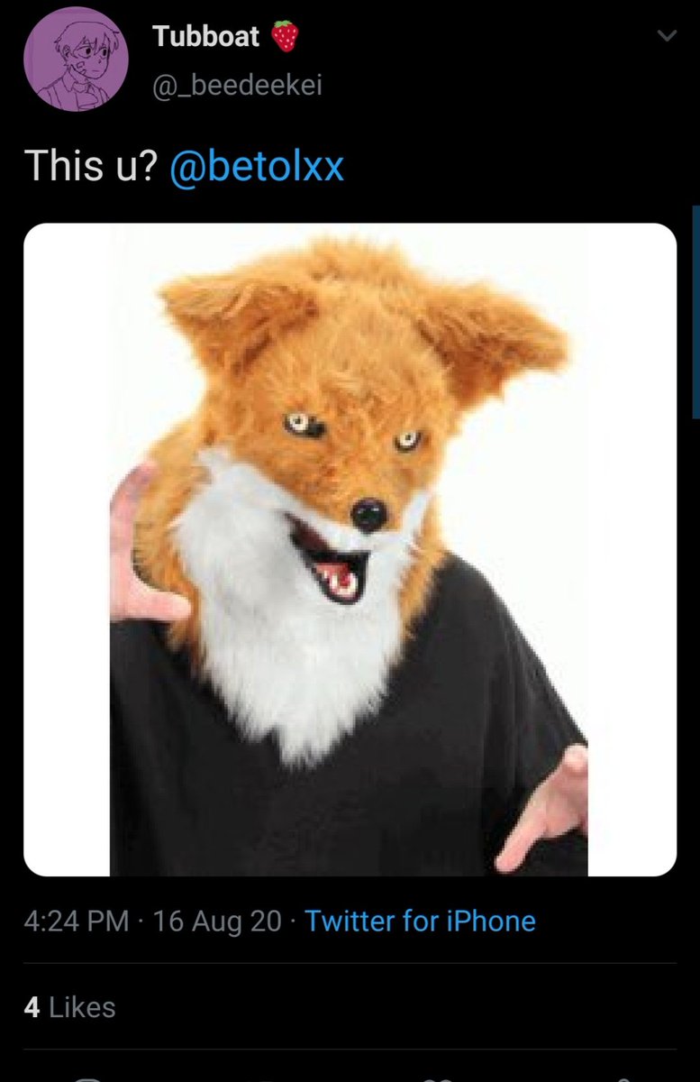 here we go.getting bullied for being a fundy kinnie: a thread