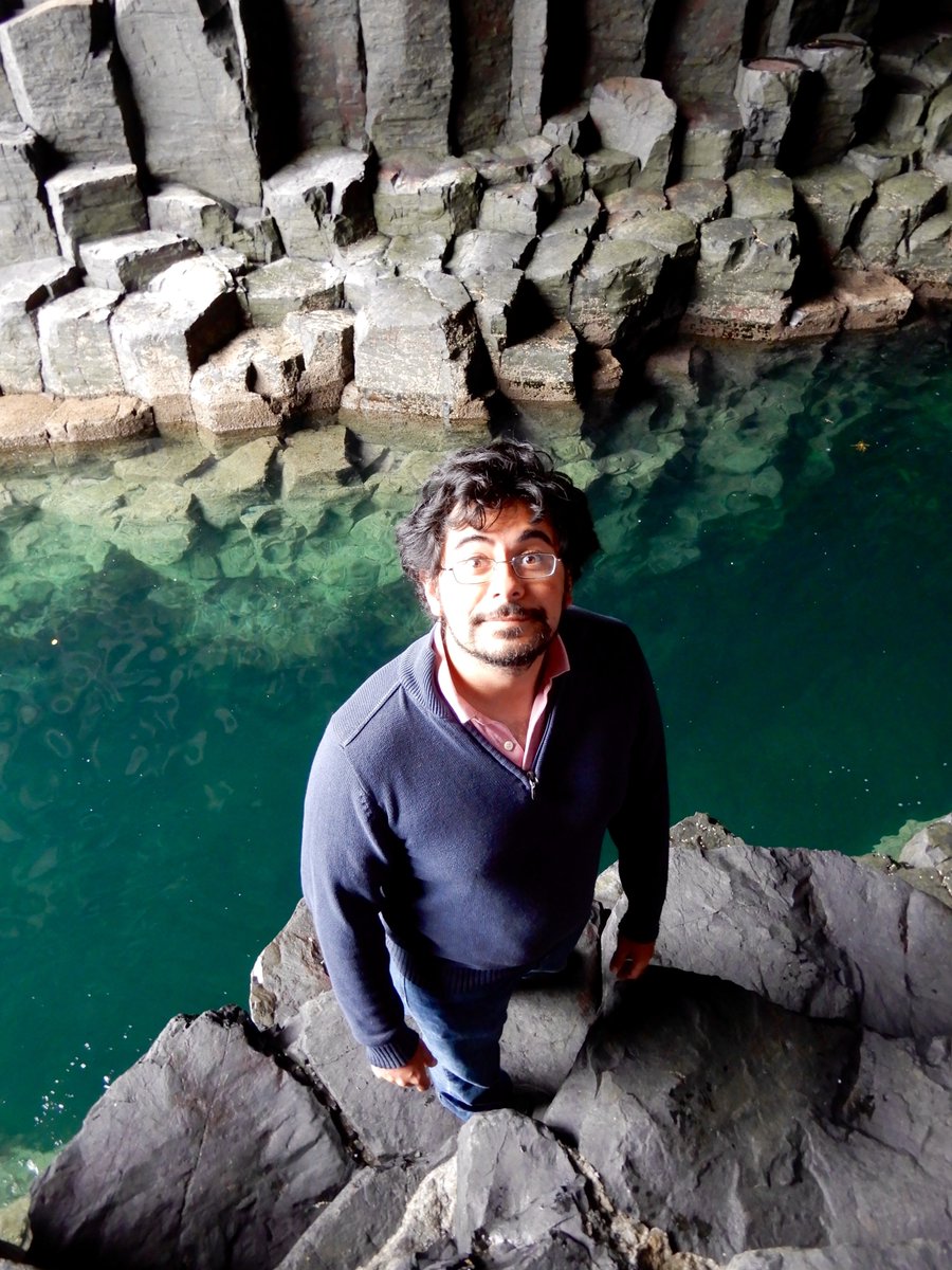 Hobby Orchestra tweet media