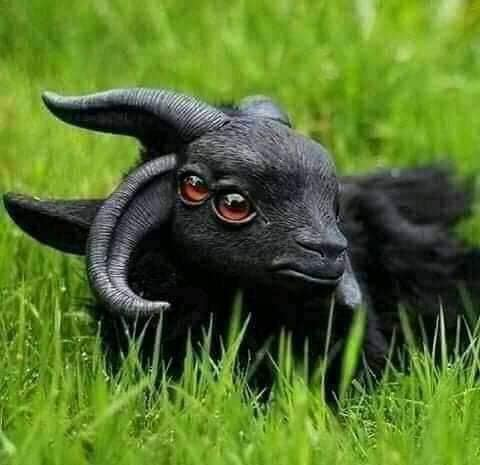 Yosh kokraklar Sahna aktyorlari porno jinsiy aloqa