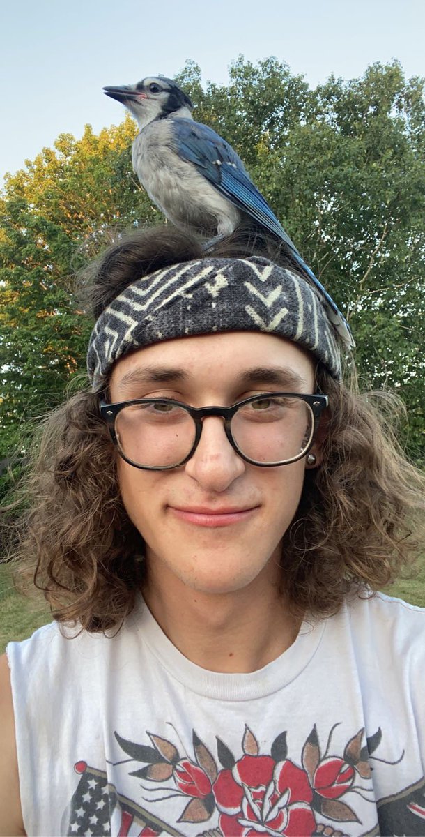 LoganBickle32's tweet photo. So I’ve had a blue jay visiting me for almost two months and she does photo shoots with me now https://t.co/TdIyeHGc3o