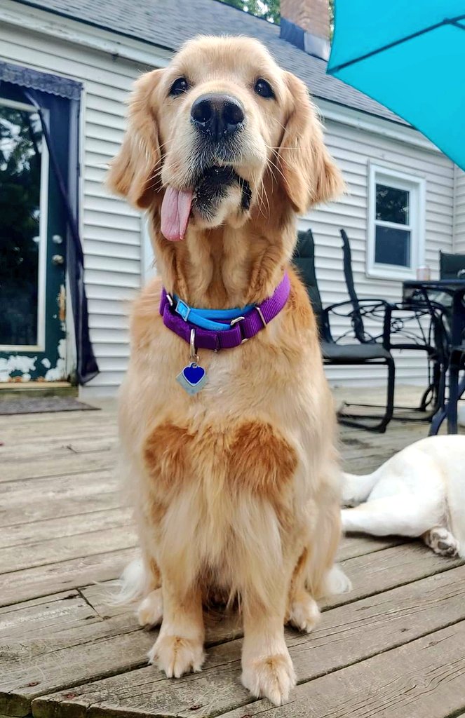 Christina M. Roof tweet media