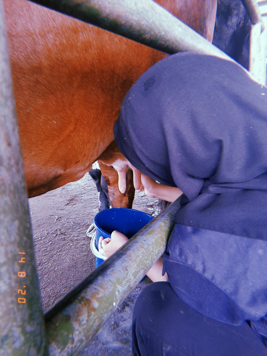 ___afifahhh's tweet photo. https://t.co/kTNBVBdB5O