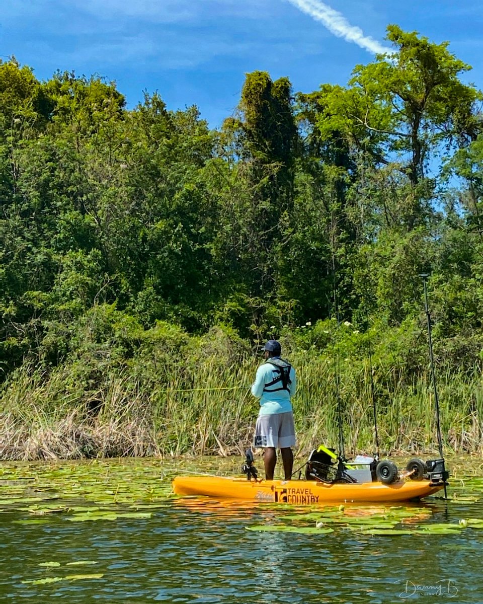 DannyBFishing's tweet photo. So easy to stand up and fish in my Hobie Outback from @travelcountry. Looking to punch and catch some froggin! Anyone catching em on a frog?!? 

#DannyBFishing #GoCatchEm #TravelCountry @hobiefishing #bassfishing #hobiefishing #hobieoutback #hobiefishing #largemouthbass https://t.co/9XTW1dc13i