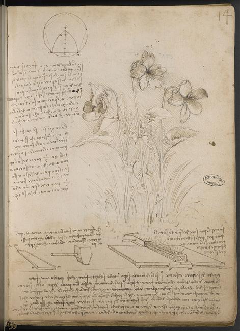 En revanche la présence de notes manuscrites en partie supérieure de l’image m’évoque fortement les carnets de Léonard de Vinci, dans lesquels il annotait très souvent ses croquis / illustrait très souvent ses textes. Mais c’est pas tout.
