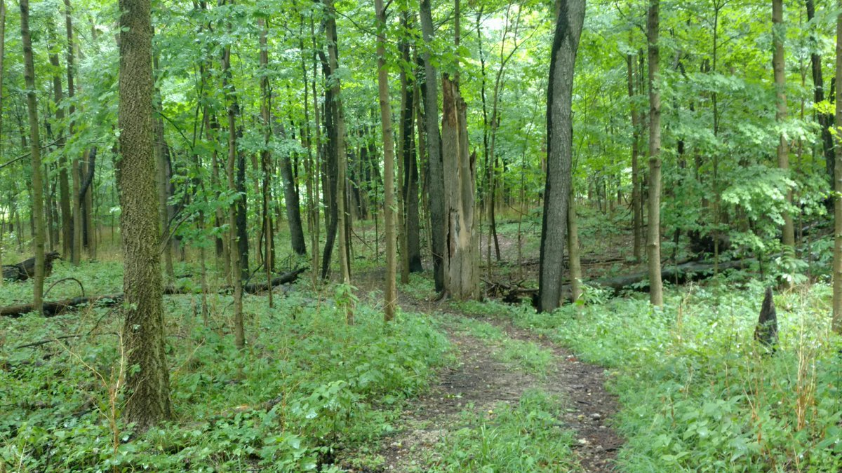 Join us for a Free Admission Day at Aullwood TODAY, Sunday August 16, 1 PM - 7 PM! Explore three new trails, try a scavenger hunt, meet delightful animals &amp; more! See aullwood.audubon.org/events/free-ad… &amp; come out for a day of nature, farm life, family time &amp; fun! #daytonohio #thingstodo