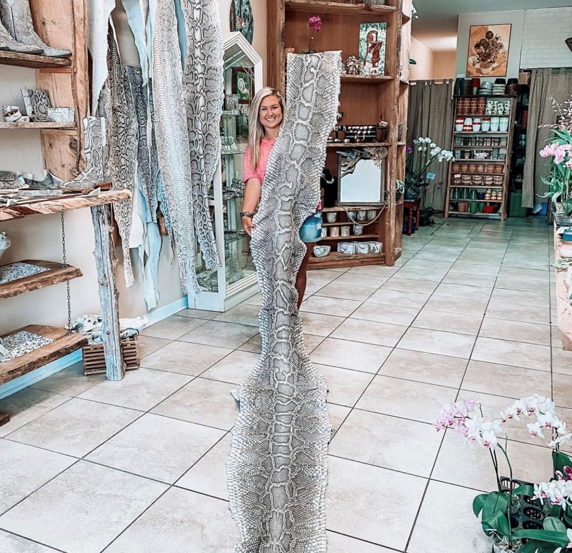 SPORTSMANchnl's tweet photo. "We stopped by @orchidenvy today to see the one and only Everglades Python Collection." - @meghan_biebs
Have you every hunted a python?
#IAMSPORTSMAN #hunting #pythons #everglades #invasivespecies #savetheglades #florida #pythonhunter #snakehunter #conservation https://t.co/UbF5oMtyx5