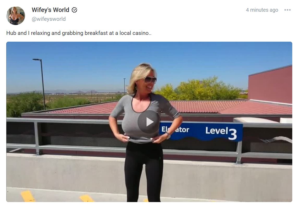 TW Pornstars - Wifey's World. Twitter. Just posted a public flashing(02)