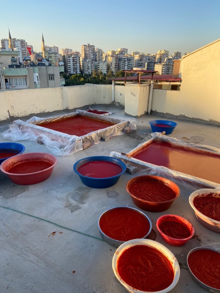 Keşki bazı fotoğrafların kokusu olsaydı.
 #BiberSalçası