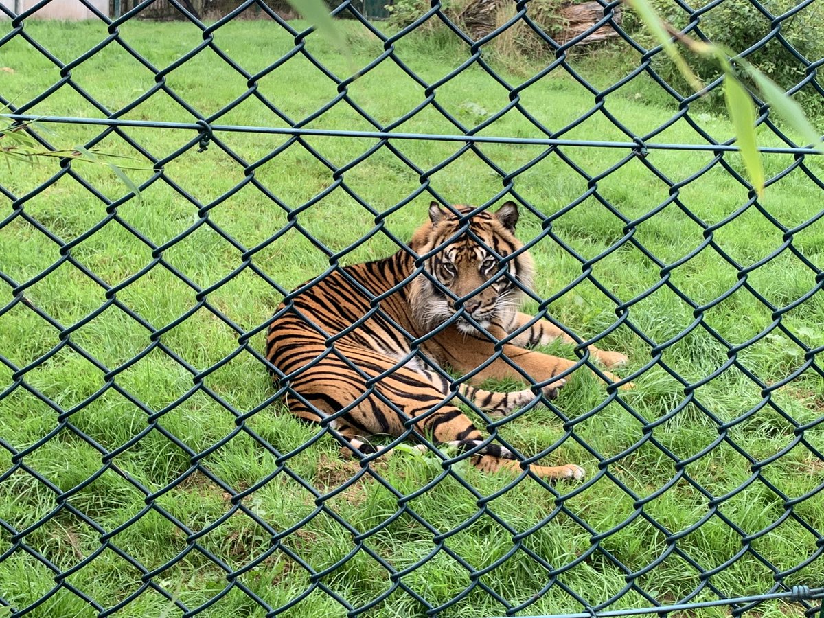 jerroche's tweet image. A fantastic day out at Fota Island. @fotawildlife