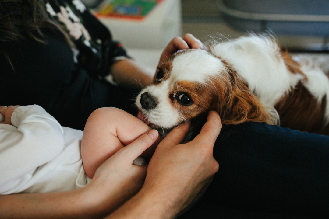 hiplushello's tweet image. Anyone else get prematurely woken up by this crazy storm??? And what is with that weird smell? I hear it’s ozone from the lightning. Stay safe out there!