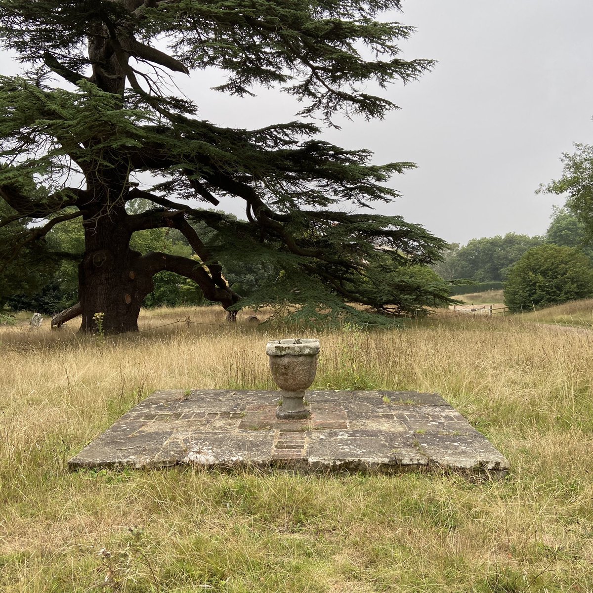 charlesjholland's tweet photo. Goodnestone Park: https://t.co/RDoxi5UF8z