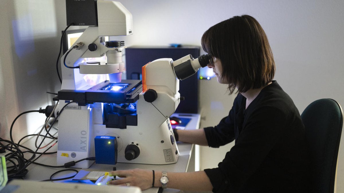 Way to go! Switzerland 🇨🇭  consistently leads the pack on global innovation  bit.ly/2XRC0DY via <a href="/swissinfo/">life</a> #Swisstech