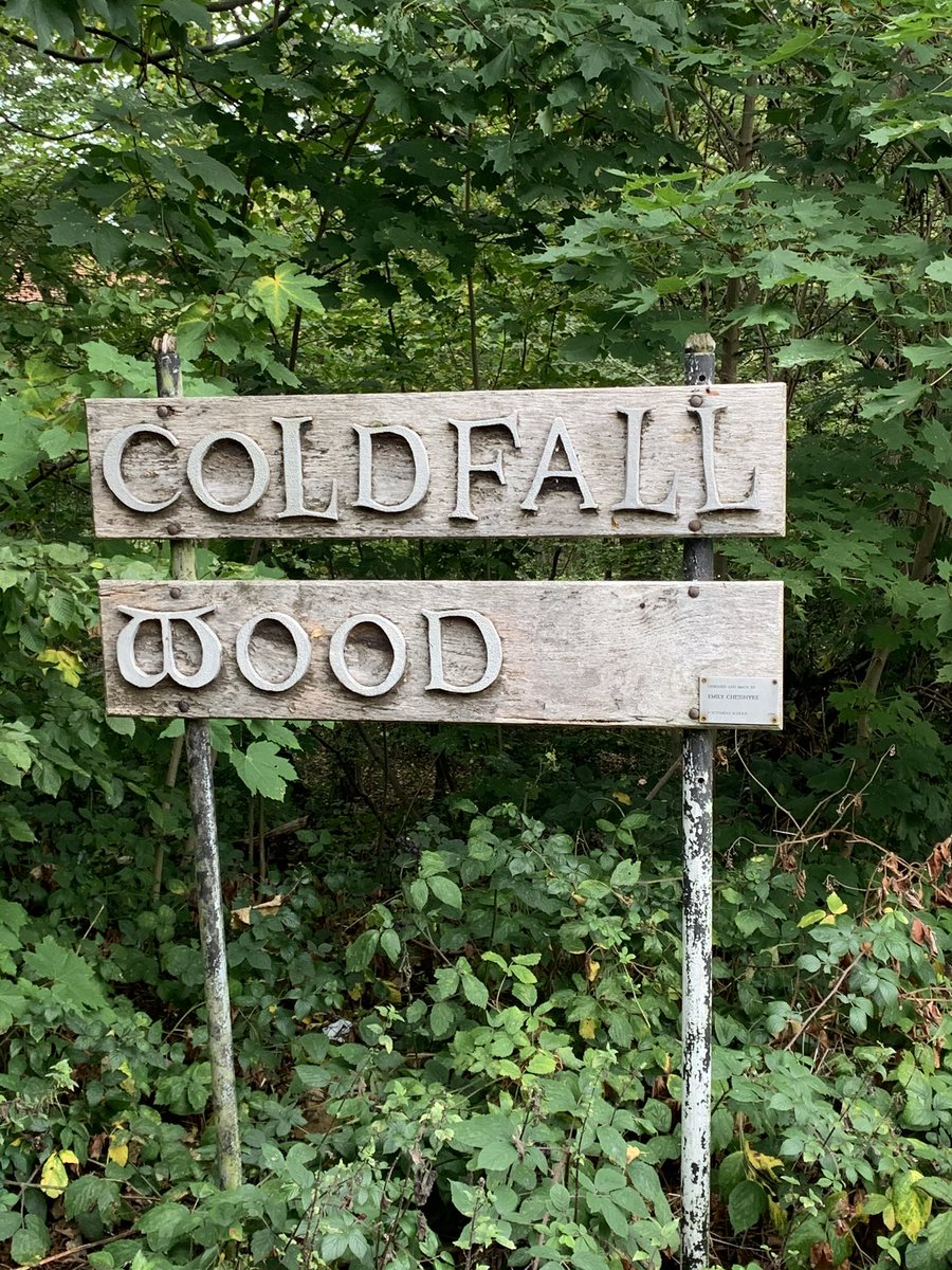 richie1984's tweet photo. Had a lovely walk with @AlexEwings through #ColdfallWood - so peaceful https://t.co/yE0teQtxmE