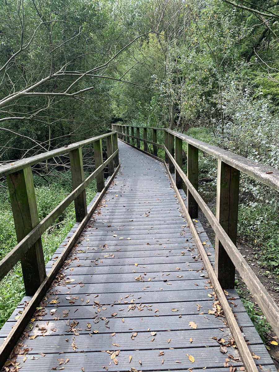 richie1984's tweet photo. Had a lovely walk with @AlexEwings through #ColdfallWood - so peaceful https://t.co/yE0teQtxmE