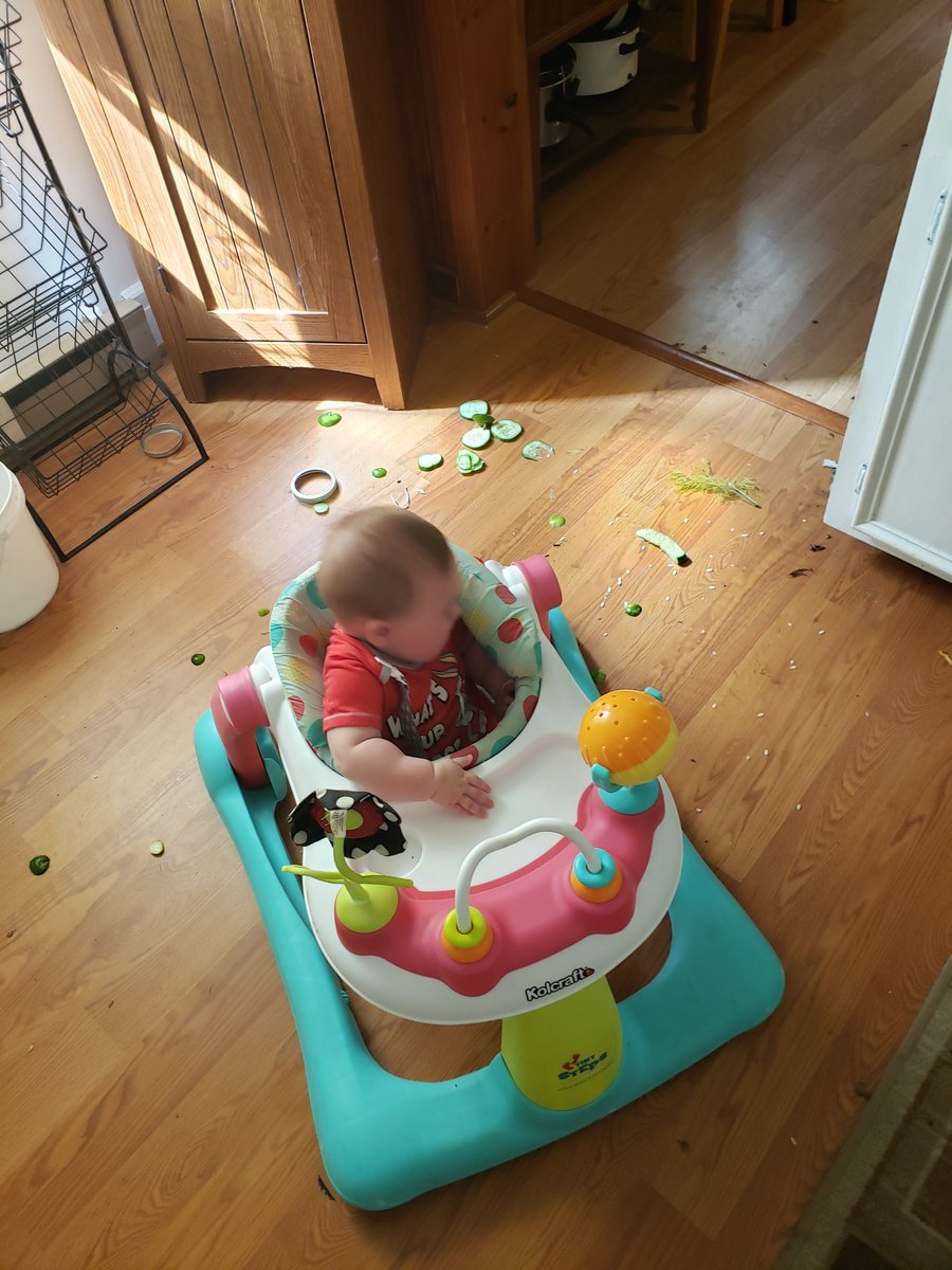 HogsbackHome's tweet photo. Life isn't always sunshine and butterflies. Here's a real look at my day on Friday.Parenting and this lifestyle aren't always easy, but both are very rewarding. Take each day as it comes. The good always outweighs the bad.
#Parenting #Homesteading
#StayPositive #HogsbackHomestead https://t.co/0GqN7x4czR