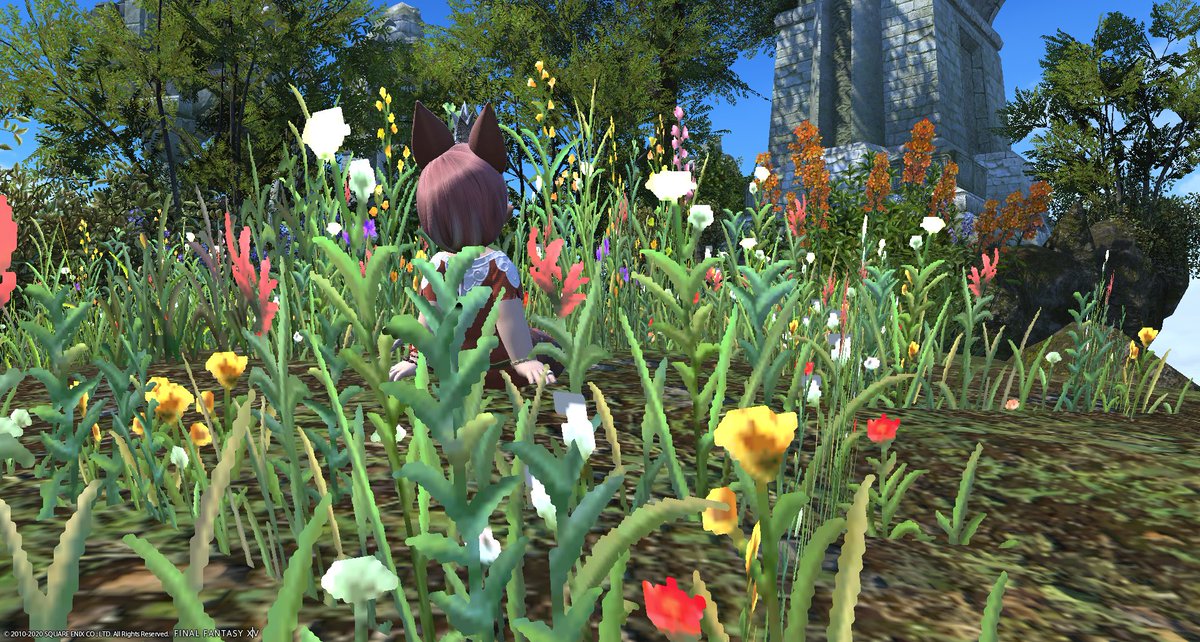 [ Nymian ruins are beautiful. ]