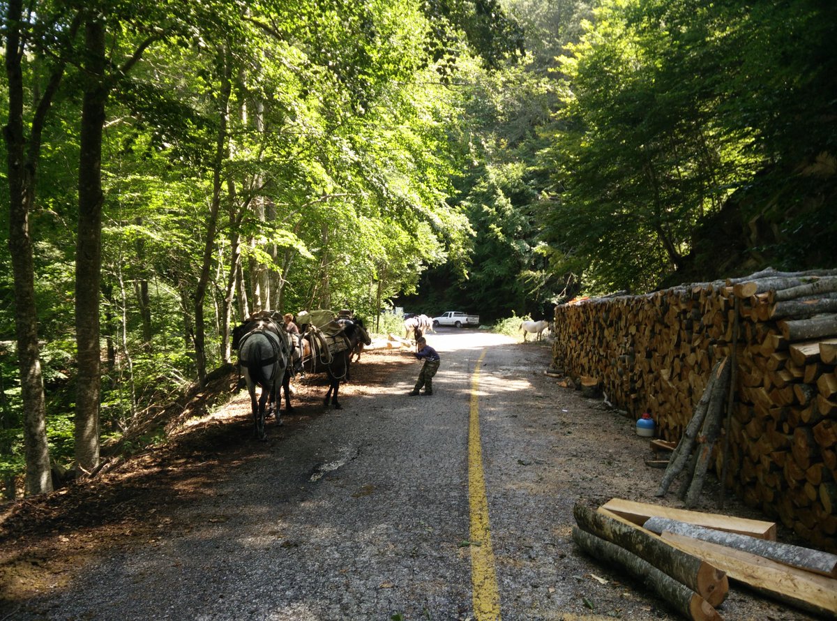 Υλοτομία στον Λειβαδίτη Ξανθης