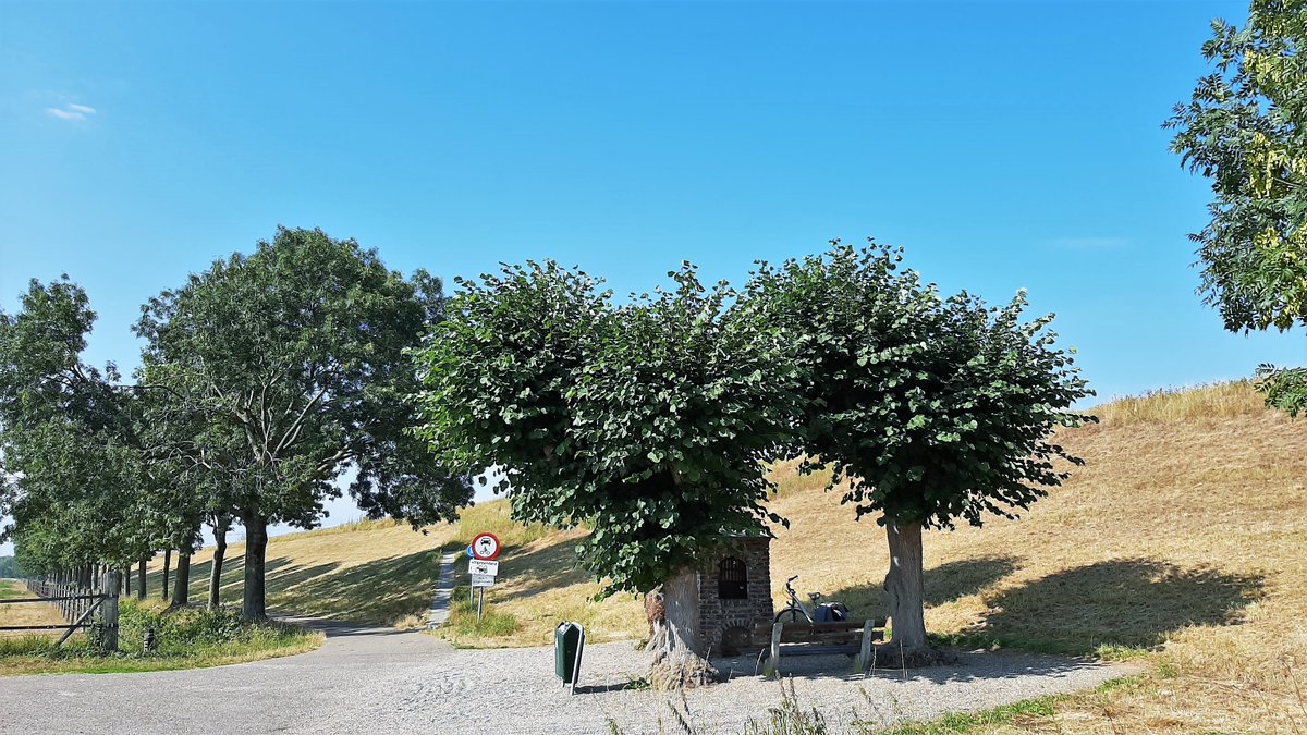 inja5248's tweet photo. vanochtend op de 🚴♀️ een rondje #Berkelaar #Maasbracht en #Echt ben nog bij #sluis #Maasbracht gaan kijken of @keddilien er al zou zijn...alle oude sluisweggetjes in gefietst maar nog geen #Odonato te zien...volgende keer beter 🙋♀️ https://t.co/DM2HfQPJ08