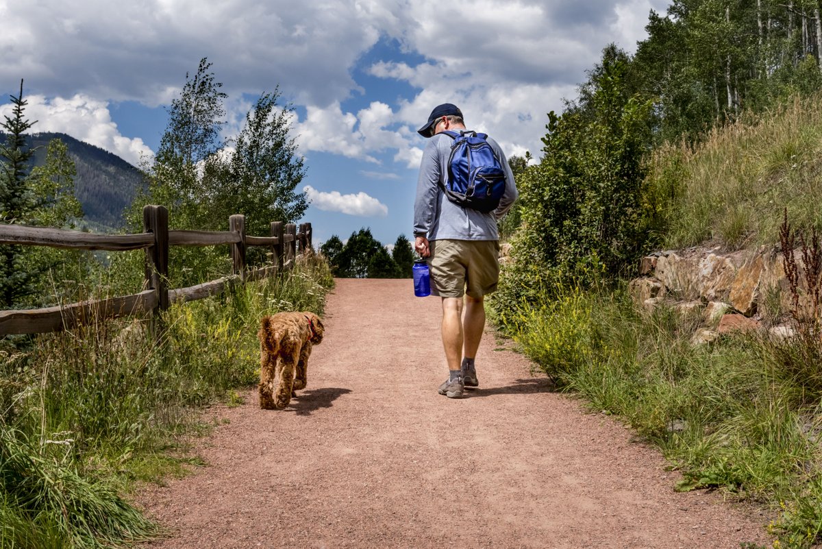 mystlukes's tweet photo. Since the Tail on the Trail 165-mile challenge began back in May, more than 800 people have completed the challenge, and hundreds more are getting closer with every mile. Participants have until November 1 to log their miles- register today!https://t.co/O6lyQ9yFp0 #tailonthetrail https://t.co/Iygt7I3zxU