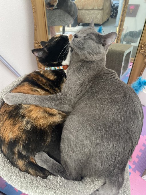 My kids always put a smile on my face. https://t.co/qdszid8lj2