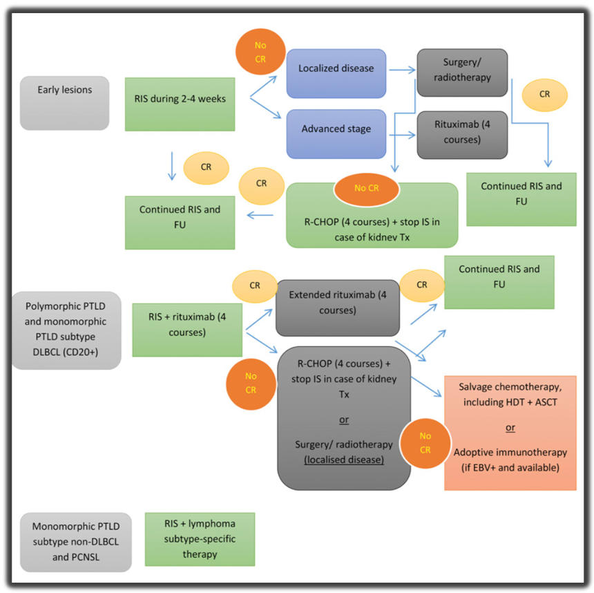 Anand_88_Patel's tweet photo. Another Sunday case for @CPSolvers! 🔥 discussion @jackpenner @AnnaFretz @averythompson32 @anna1_leah, &amp; awesome scribing/teaching from @sukritibanthiya &amp; @AndreaAnampaG!

Diarrhea causes &amp; wk-up in tx recipients: https://t.co/wYM9EsPc5m

Review of PTLD: https://t.co/5ph9z5DPEE https://t.co/QAzdTok4gI