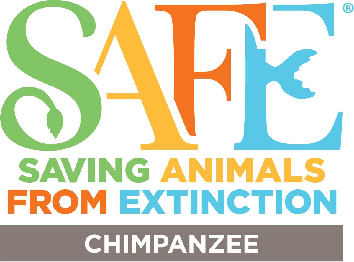 projectchimps's tweet photo. Do you know about Chimpanzee SAFE? Combined efforts by facilities like Project Chimps and many others aim to raise awareness of the difficulties wild chimpanzee populations. Read more on our Chimp Chatter Blog:

https://t.co/mvmznEJffb

#chimpsafe #chimpanzeesafe https://t.co/XZahXDbCQu