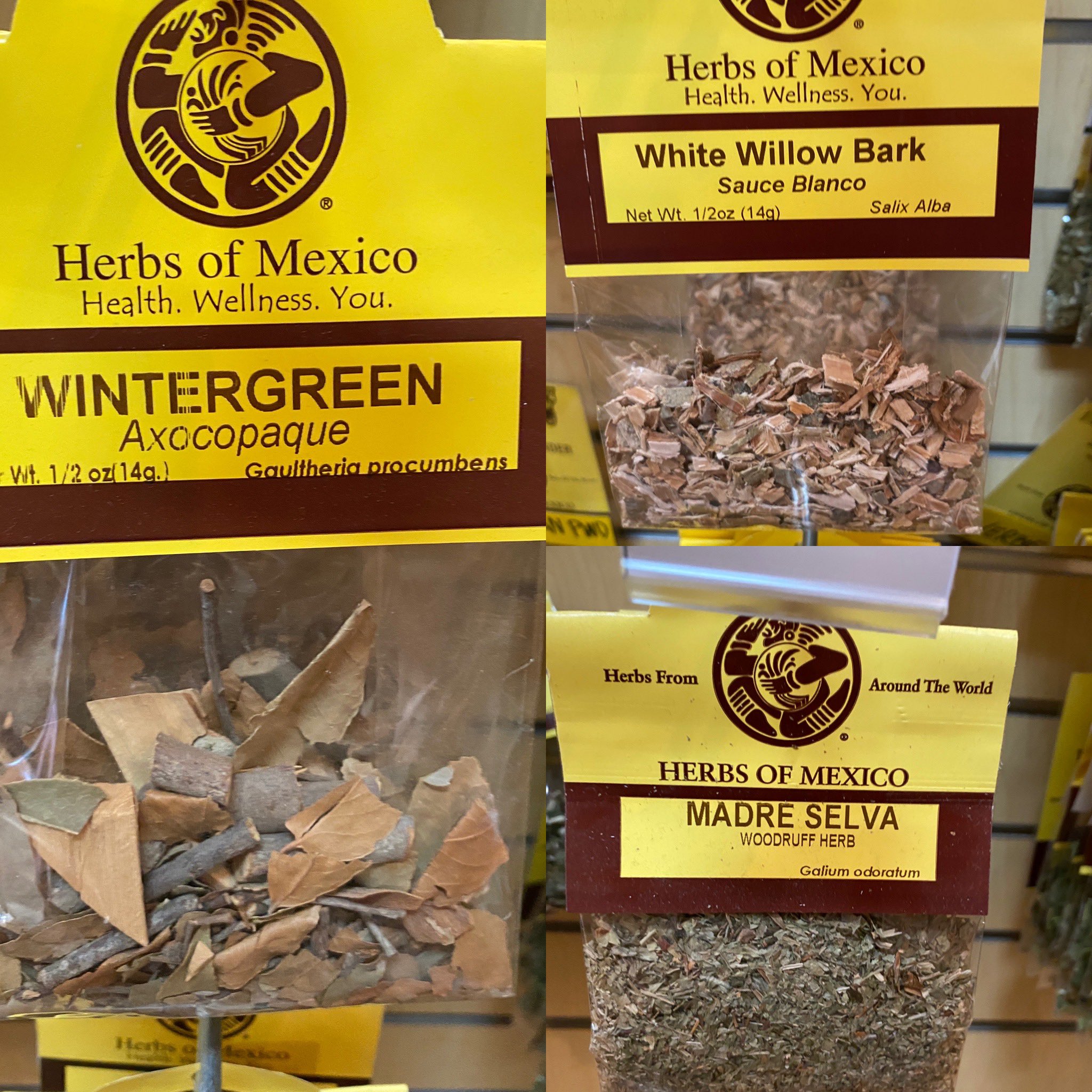 Herbs of Mexico on Twitter "Herbs of the Day wintergreen axocopaque