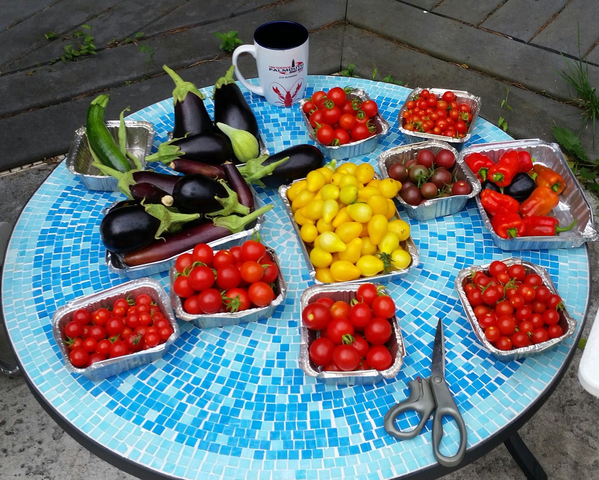 S_537's tweet photo. Due to #COVID19 , I'm not in #Falmouth #Massachusetts routing for my husband at the #FalmouthRoadRace
But, enjoying my garden bounty having #CapeCodCoffee in last year's mug
@FalmouthRR
See you next year
(Will post hubby's results later -#AtHomeEdition ) https://t.co/KWbun3uTxz