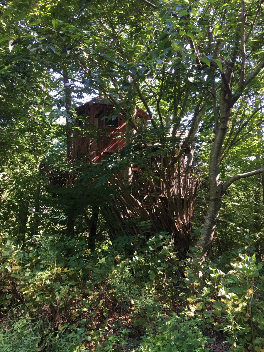 MysticSeaNotes's tweet photo. ONLY ONE WEEK AWAY!
Place your order now for pick up at the treehouse NEXT SUNDAY!
https://t.co/KeVzISuIld https://t.co/vWP2CD5z88