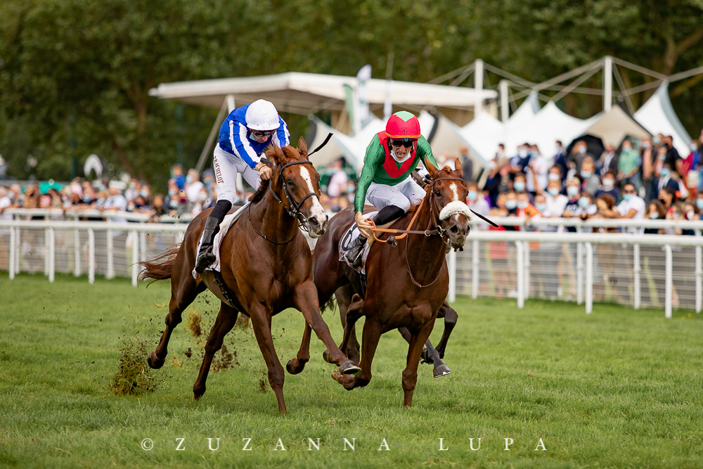 zuzanna_lupa's tweet photo. HURRICANE DREAM (by #HurricaneCat) beats Dawn Intello in Listed Prix Nureyev today in Deauville.
@PCBOUDOT @haieneuve https://t.co/QPEpcbC194