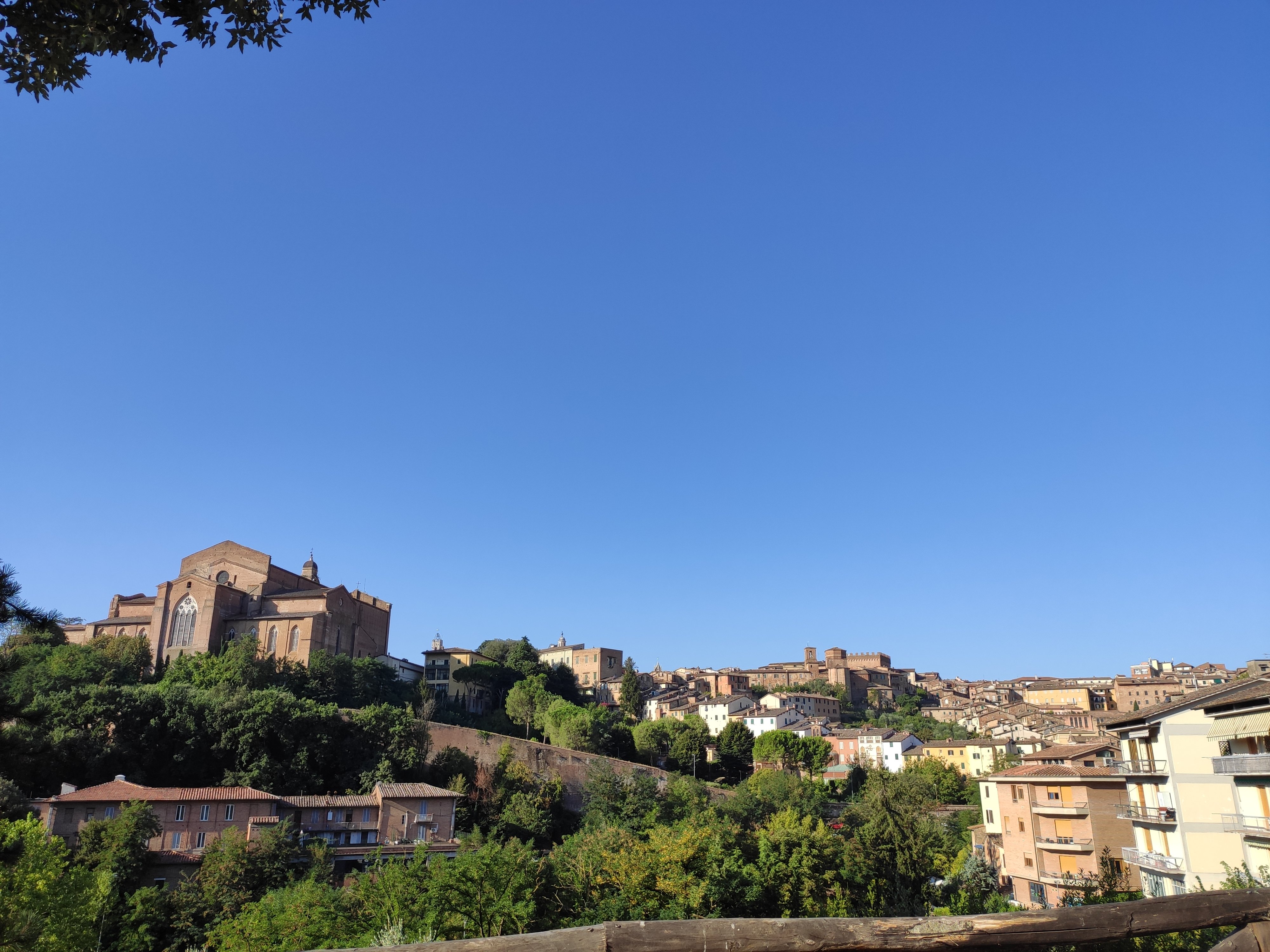 イタリア在住元観光ガイド 365siena管理人 365sienacom Twitter