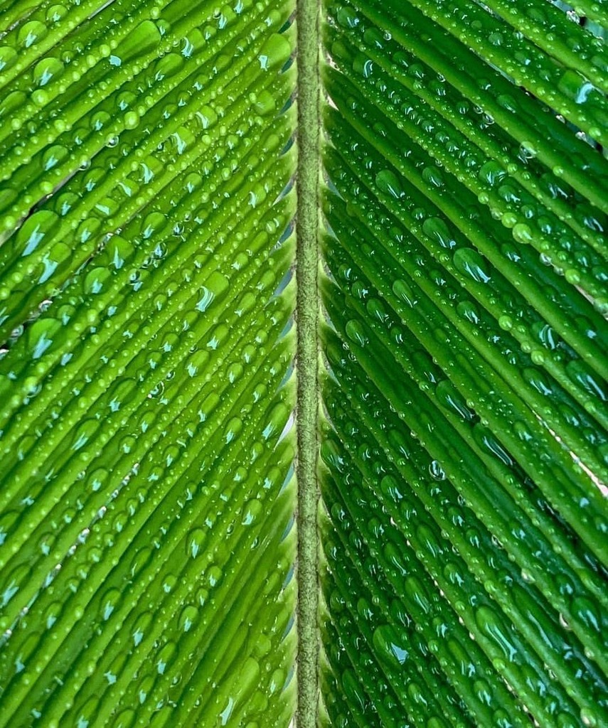 2r_Creative's tweet image. Fully inspired by the symmetry of @samah.elai // 📸 : @candyminimal #candyminimal