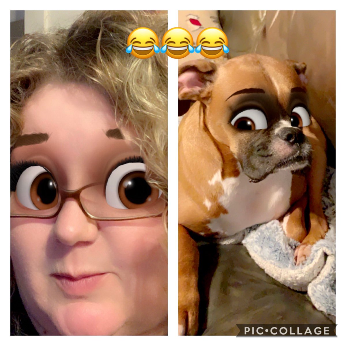 sassyblondie1's tweet image. My boxer and I communicate on a cerebral level. 😂 #petsaddlife