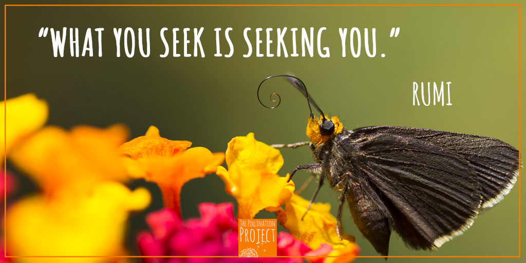 Pollinationproj's tweet image. Whatever your vision, you already have the most important elements to see it through.

photo credit @TamaraBlazquezH 

#thepollinationproject #seedthechange #rumi