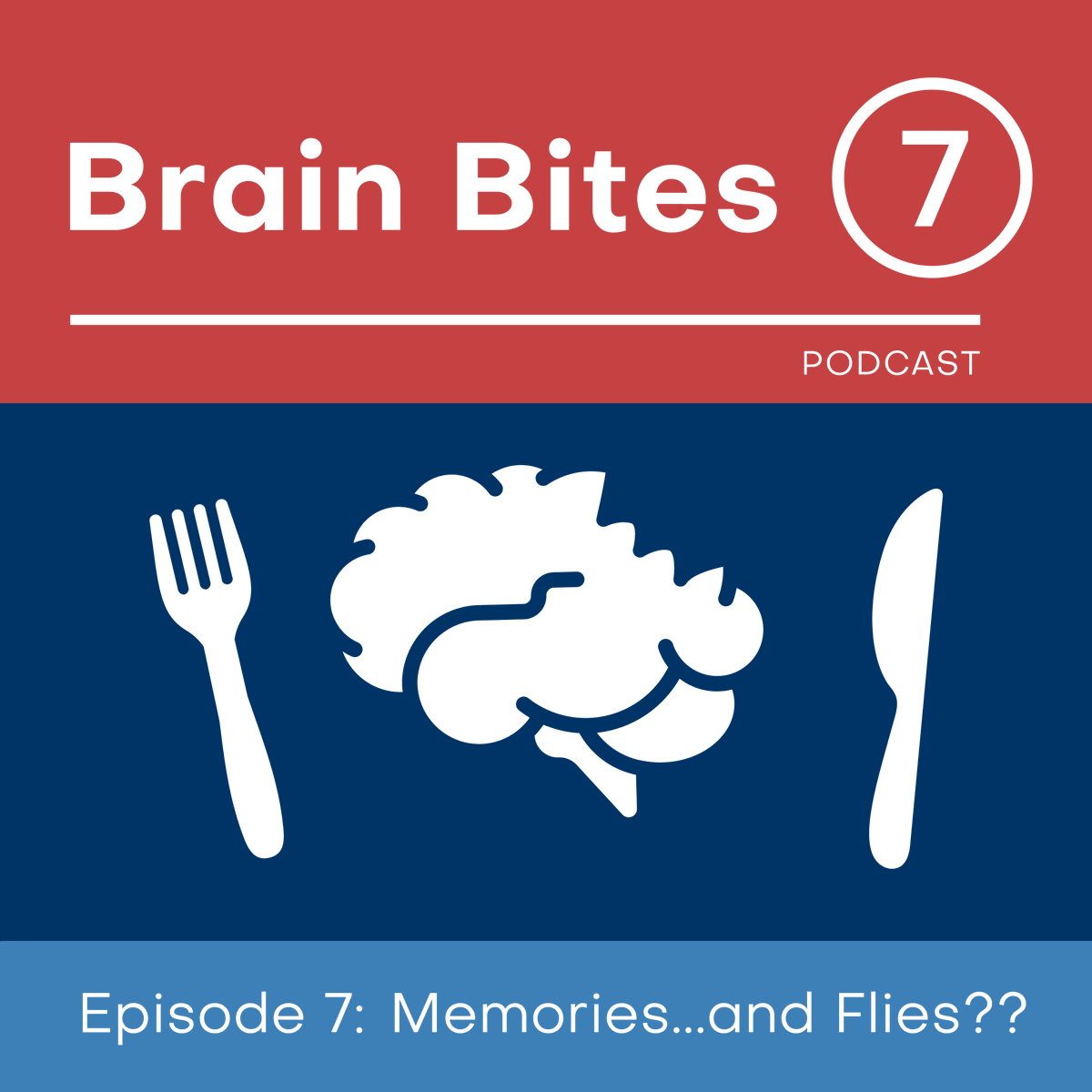 FAUResearch's tweet image. @program_ascend hosts Brain Bites Episode 7: Memories... and Flies??⁠
⁠
Dive into how memories are created and how neuroscientists use flies to decipher how they are created by listening to the podcast.⁠
⁠
Listen here: rb.gy/zgtc5f

#fauresearch #brainbites