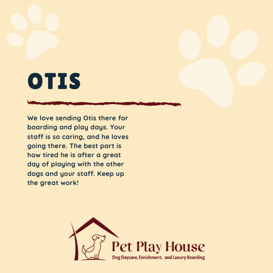 Pet_Play_House's tweet photo. 😍Thank you to Otis' mom for the great feedback!😍
#customer #business #happy #love #happycustomer #customerexperience #review #customersatisfaction #petplayhouse #dogdaycare #testimonial #doggydaycare #dogsofreno #dogsofrenotahoe #happycustomers #reviews #customerreview https://t.co/0vsZwBcT5U