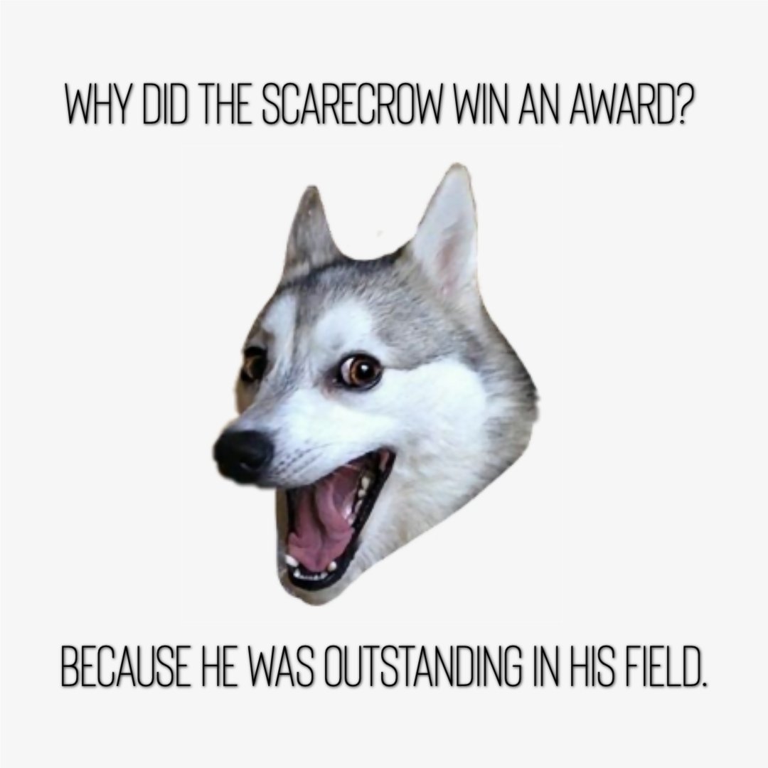 Emberex_Inc's tweet photo. It's National Tell A Joke Day, so we made this for you.
You're welcome. 😊
#dadjokes #nationaljokeday #jokesfordays #Memesforscientists #outstandinginhisfield #doyougetit https://t.co/RIkK5pQwMZ