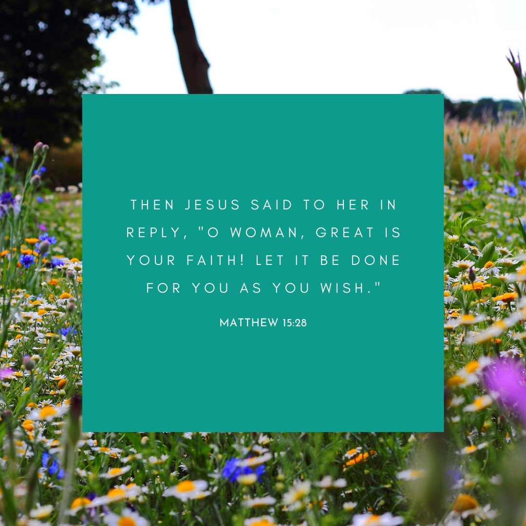 Seton Home tweet media