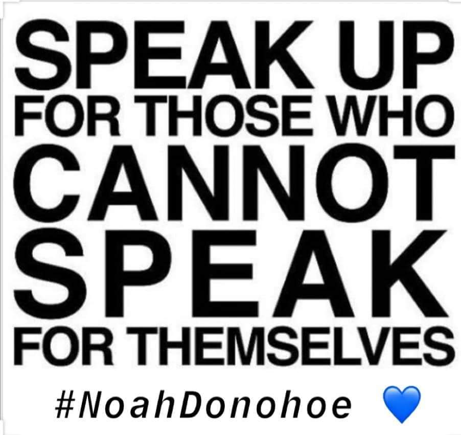 MissCarlaMaria7's tweet photo. #Week8
#RememberMyNoah 
#NoahDonohoe 
❤ https://t.co/rOzYXLBPar