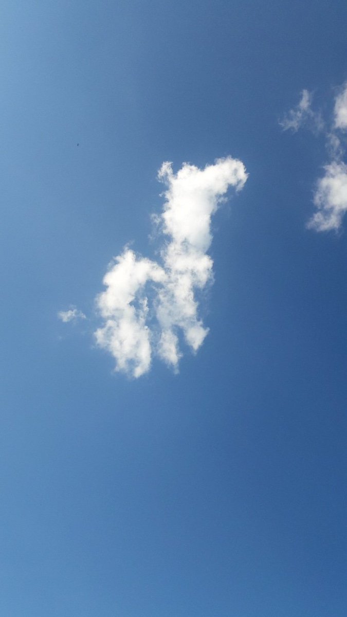 id_idiia's tweet photo. #sky #clouds 
#do_nothing 
#be_yourself #honestly 
#TURTLE 
#projector_6_2 
#humandesign https://t.co/ZCiuQb9c5V